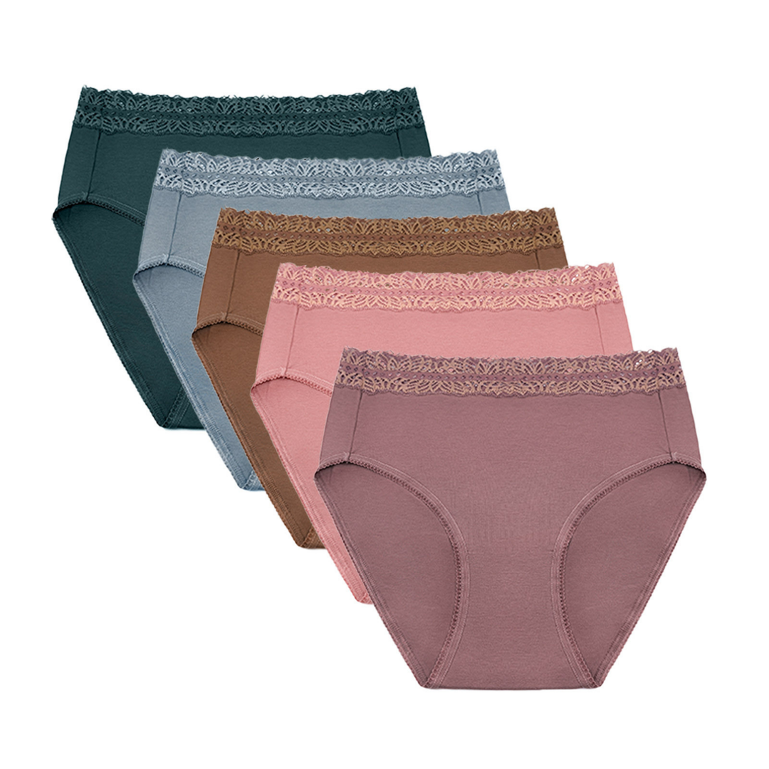 Kindred Bravely - High-Waisted Postpartum Recovery Panties (5 Pack) Dusty Hues